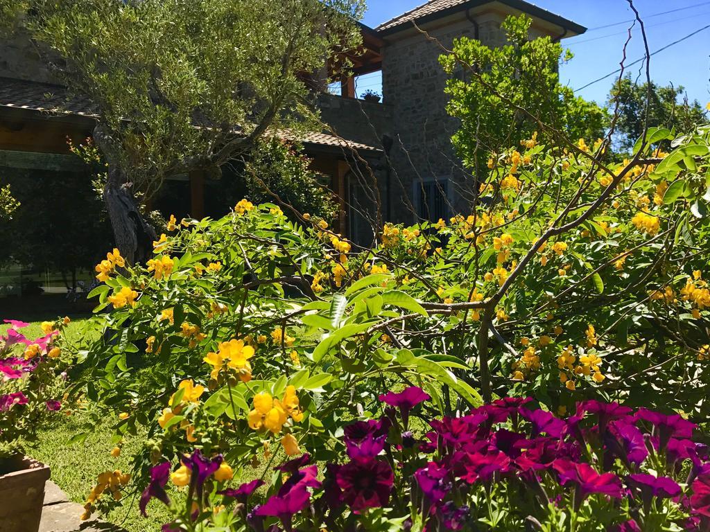 Casa Vacanze Il Cenito Кастелабате Екстериор снимка